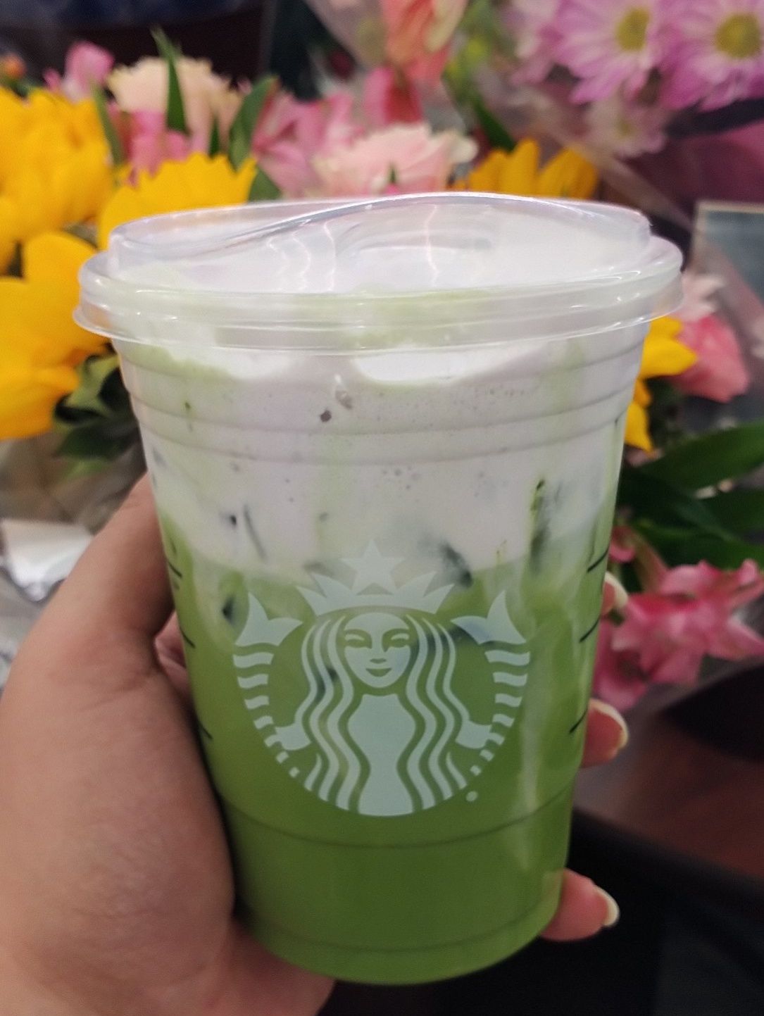 7+ Starbucks Matcha Orders to Try ( Secret Menu Tips on How to Order)